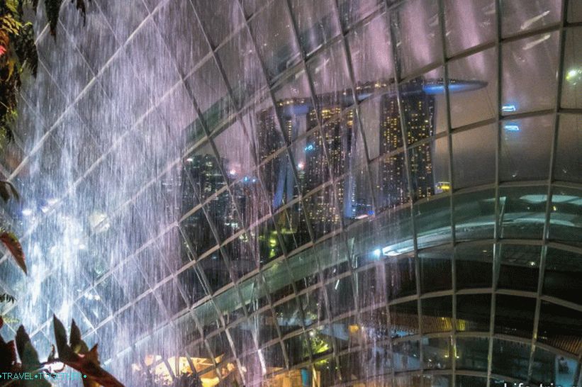 Gardens by the Bay in Singapore - the main attraction