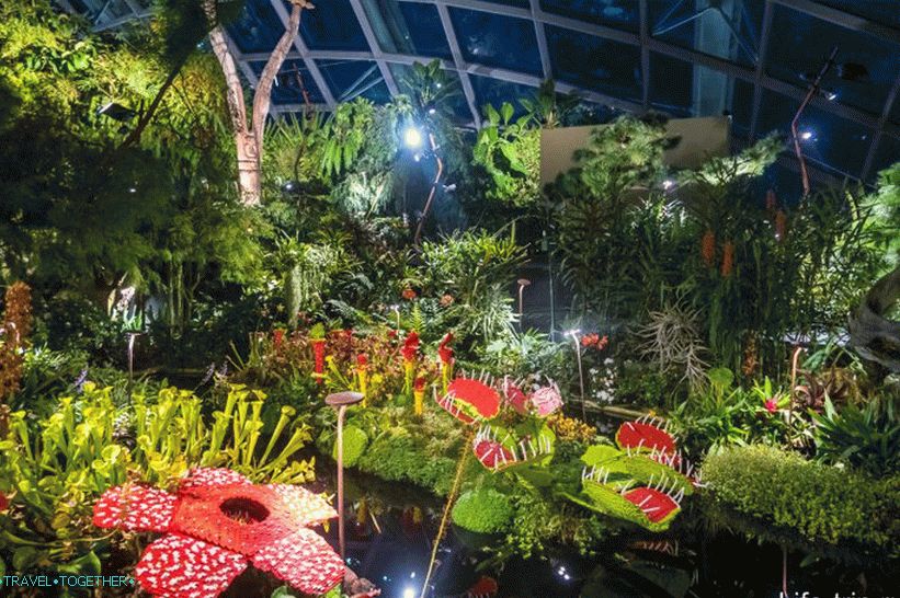 Gardens by the Bay in Singapore - the main attraction