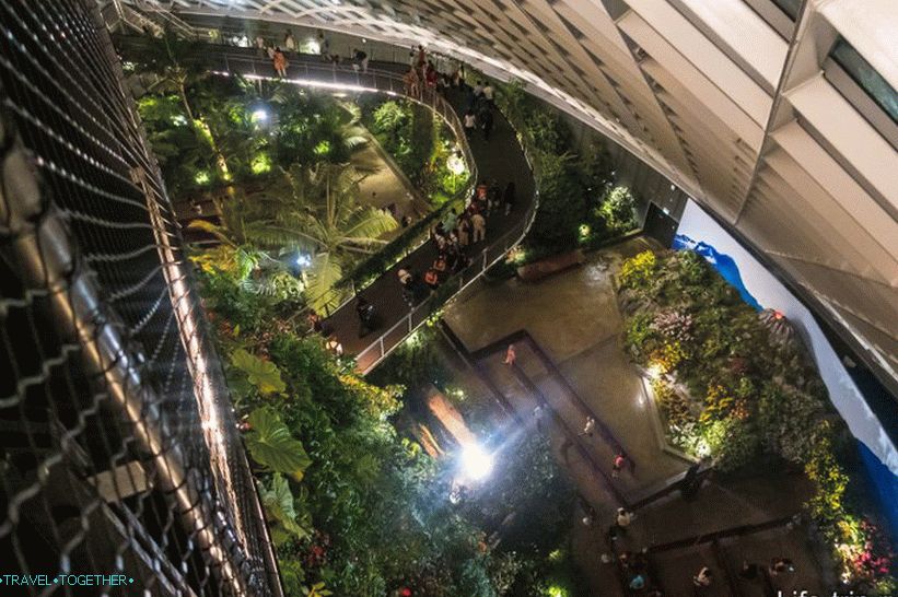 Gardens by the Bay in Singapore - the main attraction