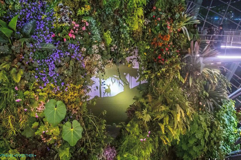 Gardens by the Bay in Singapore - the main attraction