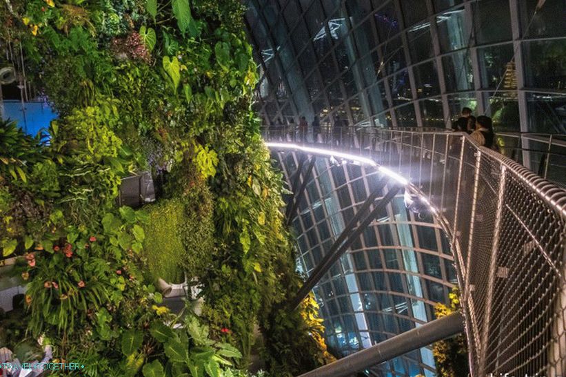 Gardens by the Bay in Singapore - the main attraction