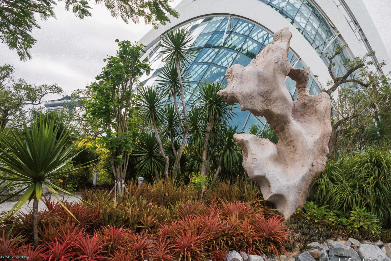 Gardens by the Bay in Singapore - the main attraction