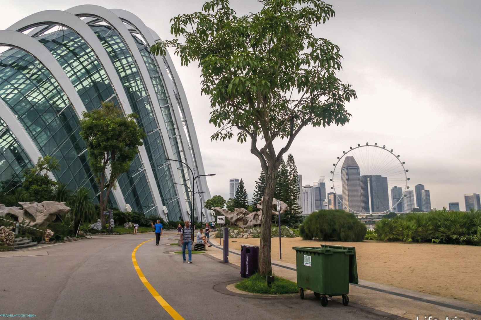 Gardens by the Bay in Singapore - the main attraction