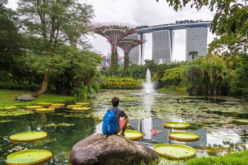 Gardens by the Bay in Singapore - the main attraction