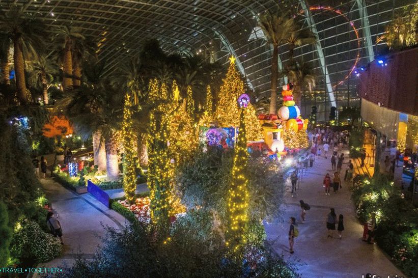 Gardens by the Bay in Singapore - the main attraction