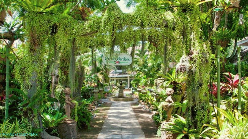 Orchid Garden in Phuket