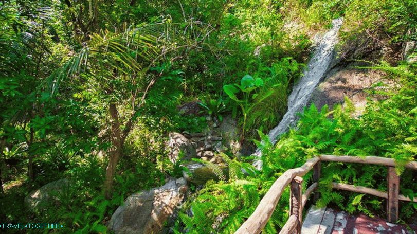 Siva Tara Falls on Samui