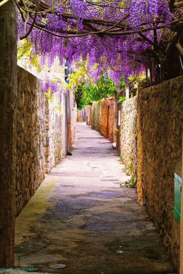 The flowering streets of Saint-Tropez