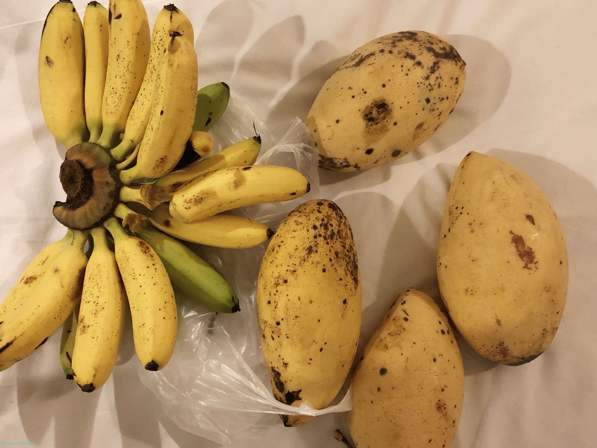 Fruit Season in Thailand