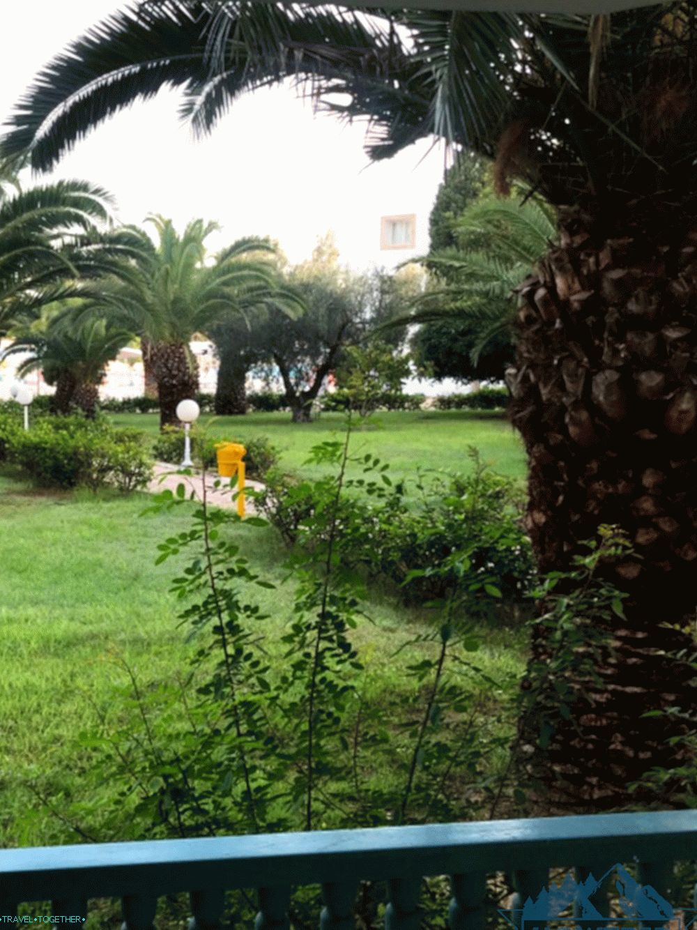 Nature in Tunisia at the hotel