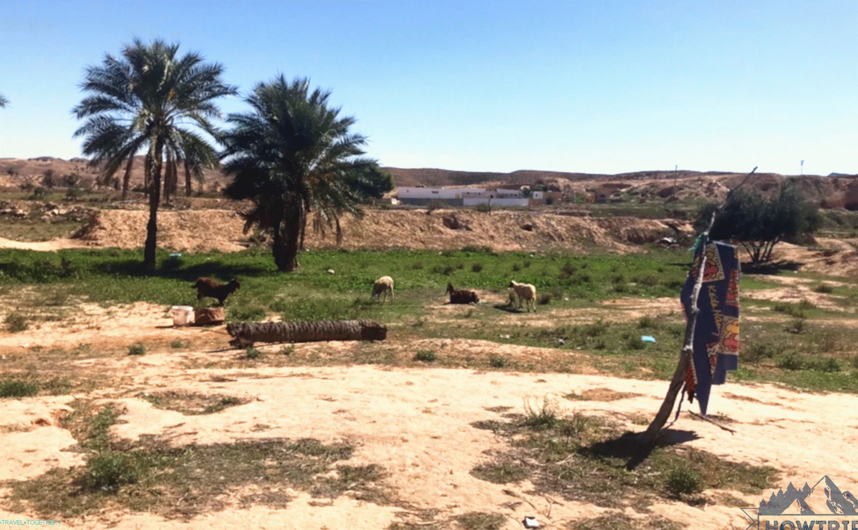 Nature in Tunisia