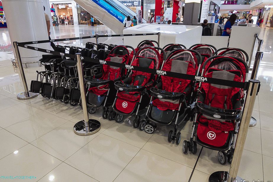Strollers for children and people with disabilities for hire