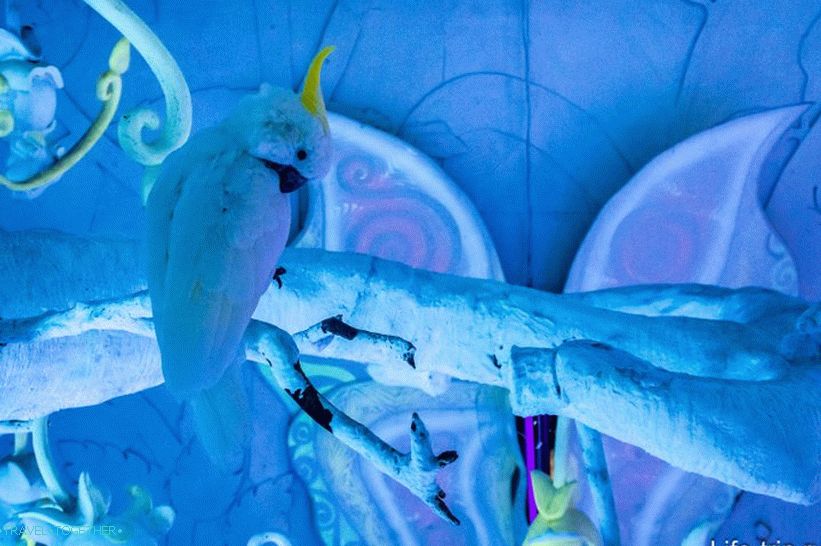 It is called find a white parrot on a white background