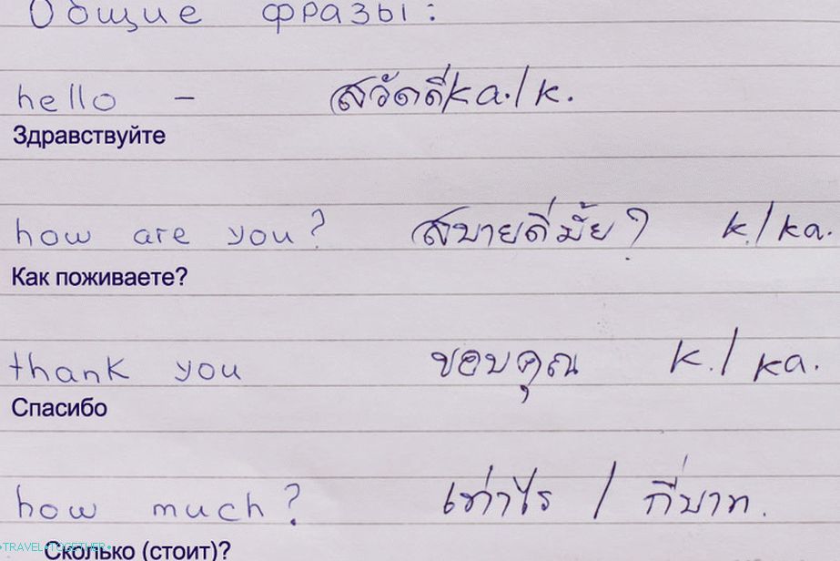 Common useful phrases