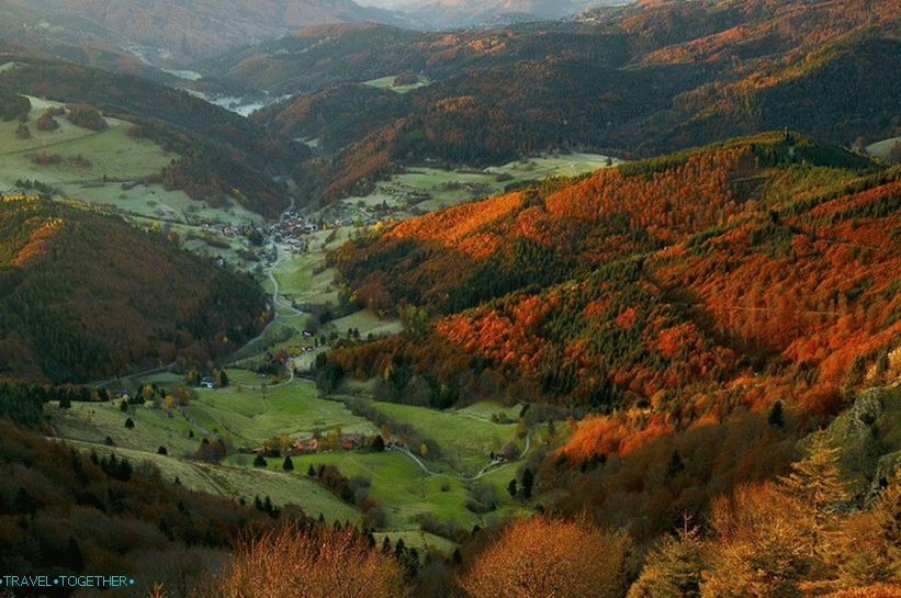 Autumn in the Black Forest