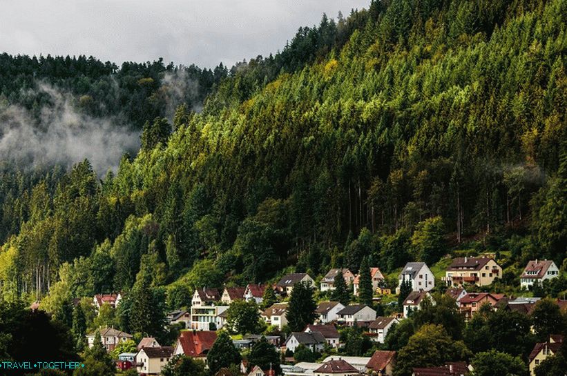 Village in the Black Forest