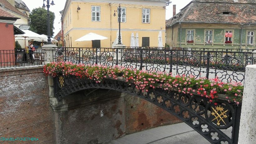 Bridge of Lies