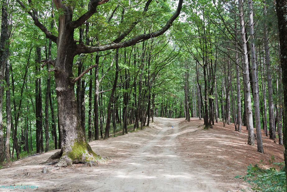 Road to the Kiselev rock