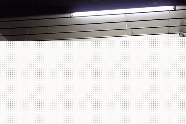 Sweet Winter in Thailand