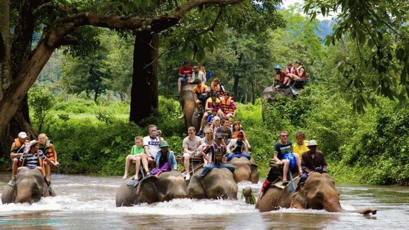 Riding on elephants in Thailand