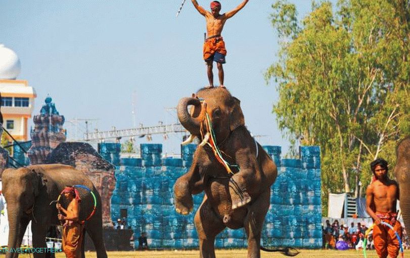 Elephant show in Thailand