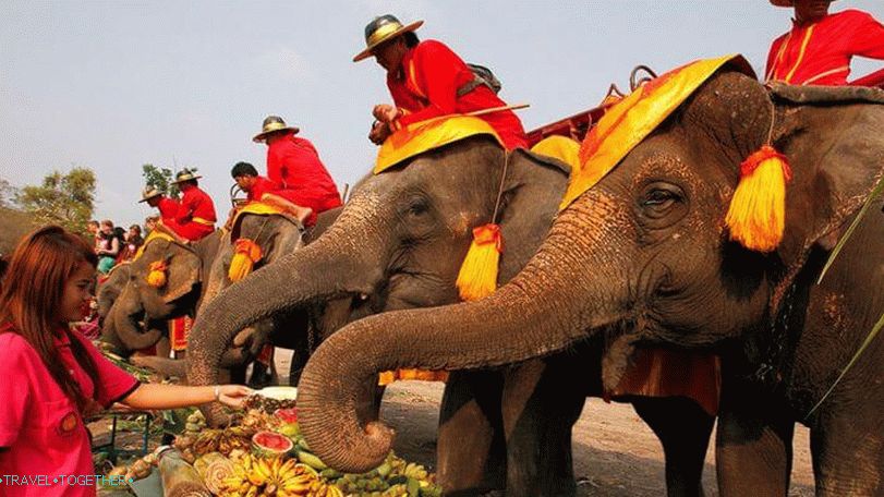 Elephant Day in Thailand