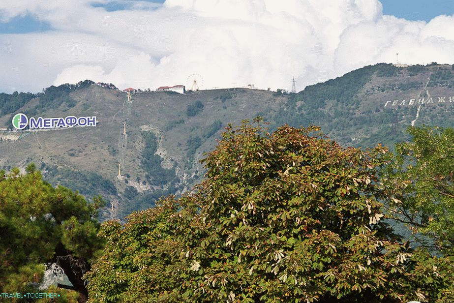 Well, not Hollywood?