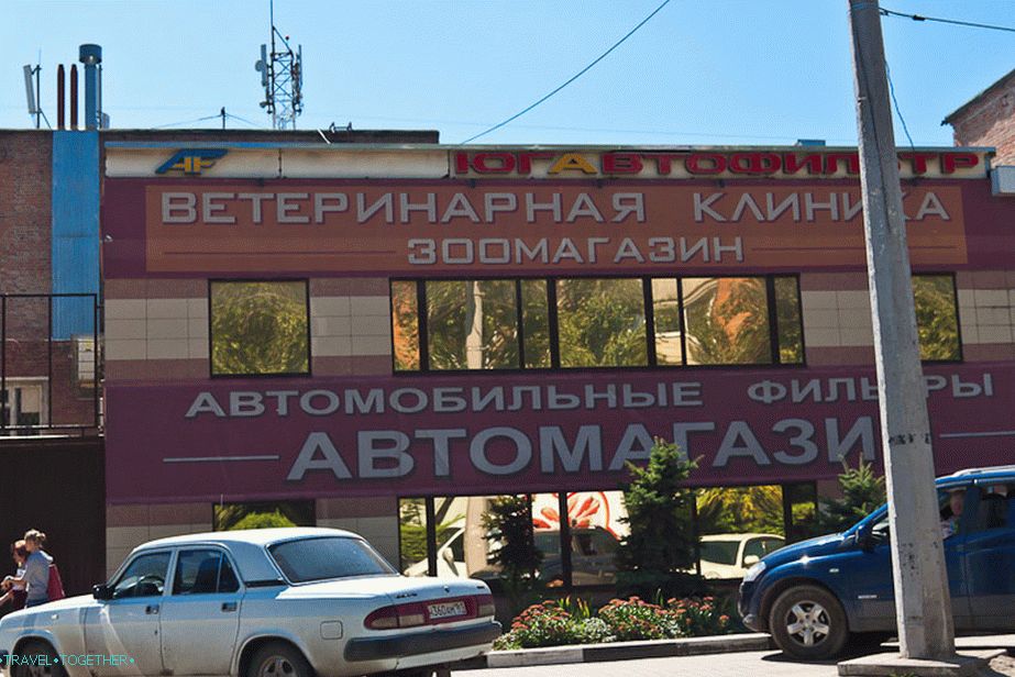 Why don't we, in addition to the vet clinic, open an autoshop?