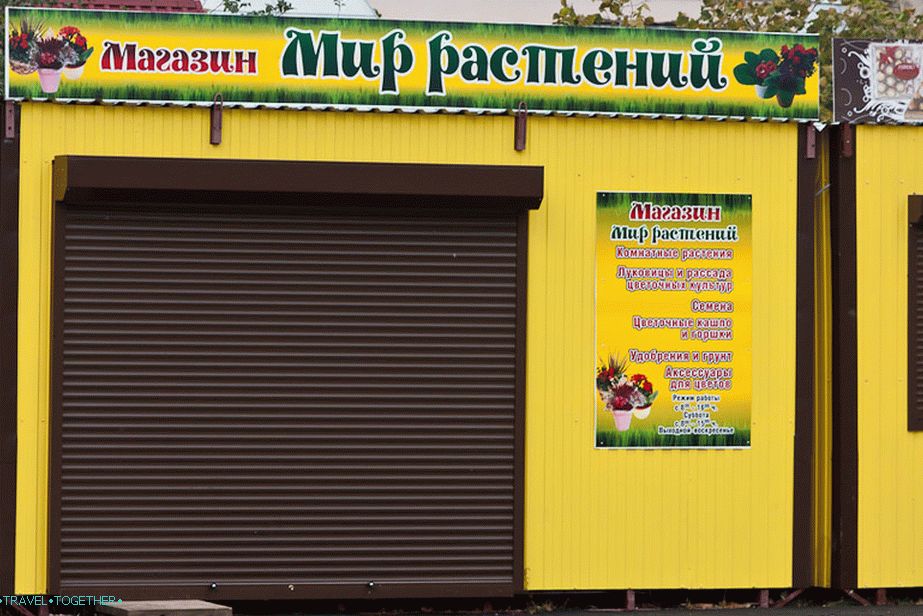 Another World of Plants