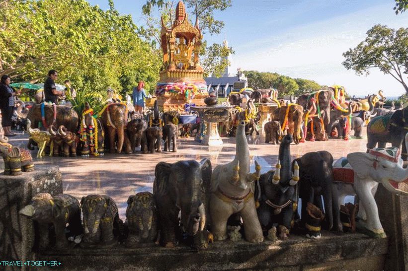 That same herd of elephants