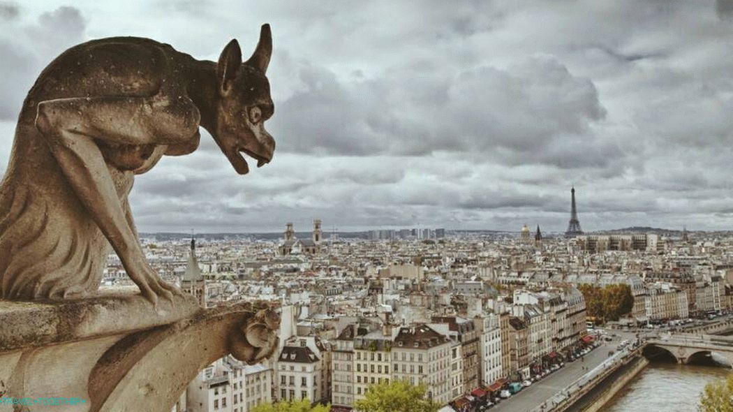 Gargoyles of Notre Dame