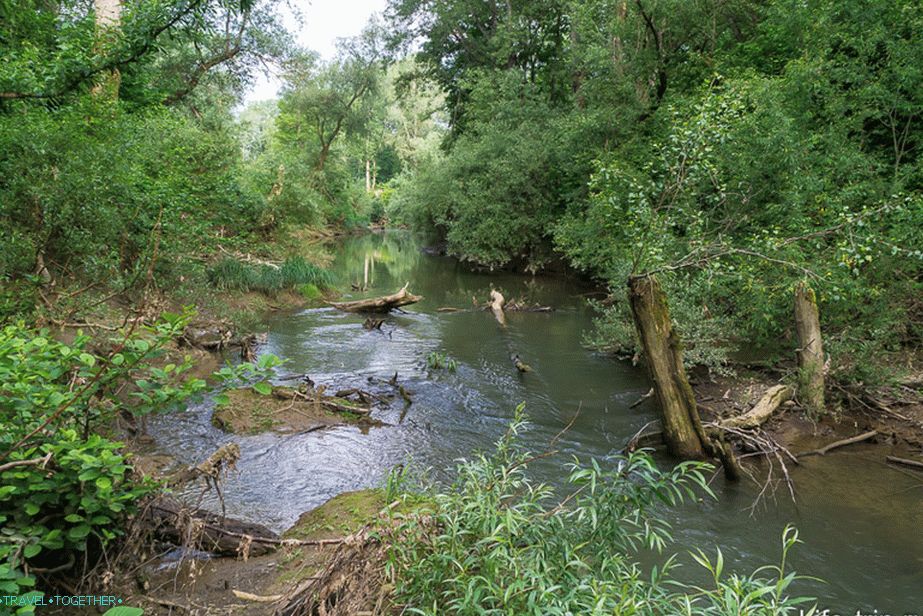 At 20 meters the river Shebsh flows