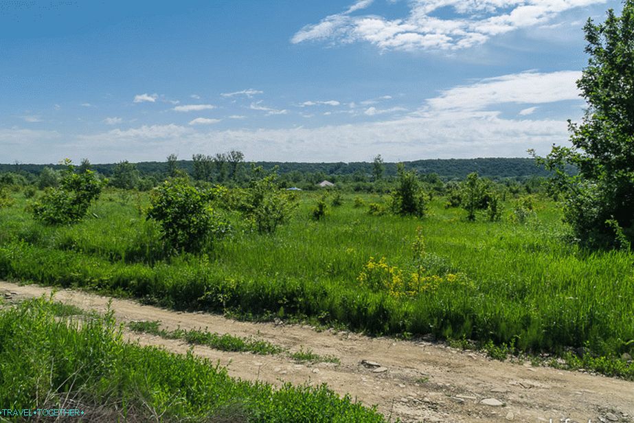 Terrain in ecosettlement Fairy Land