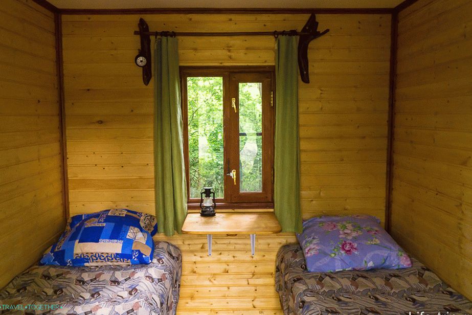 Two beds, inside those hives