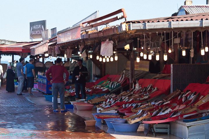 Fish market on the shores of the Sea of   Marmara. The stench is terrible.