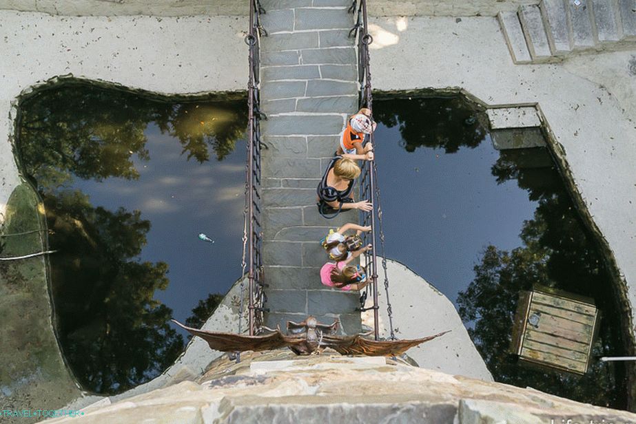 Top view from the tower