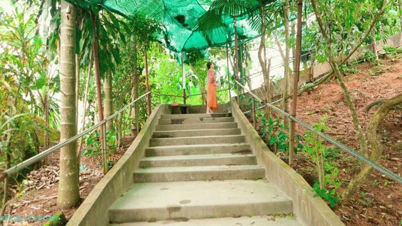 Staircase leading to the statue of the Big Buddha