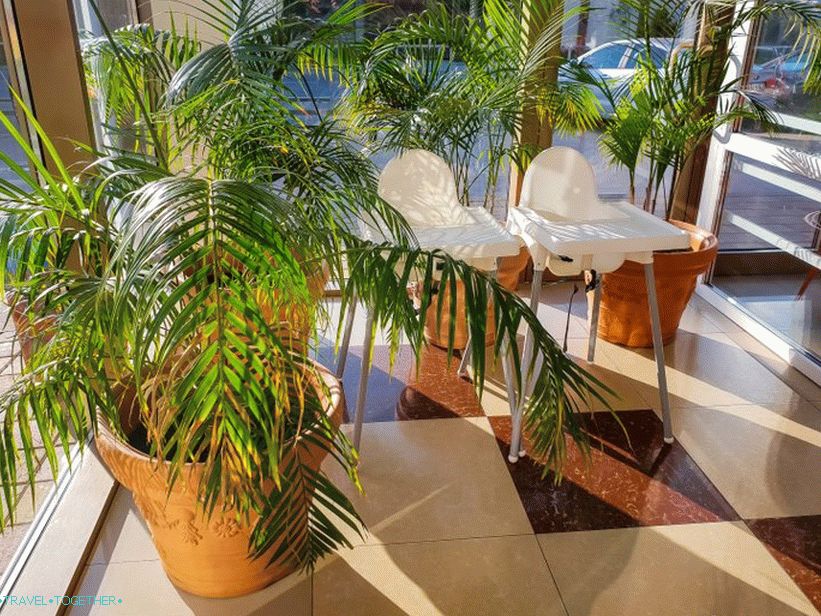 Dining room eaten in Adler - did not like at all