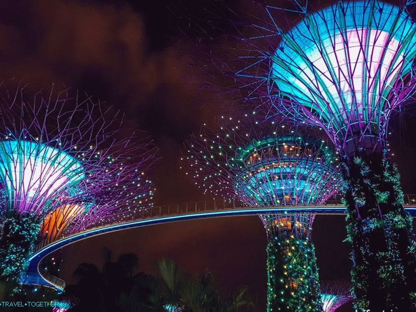 Light show with trees from Avatar in Singapore - must-see!