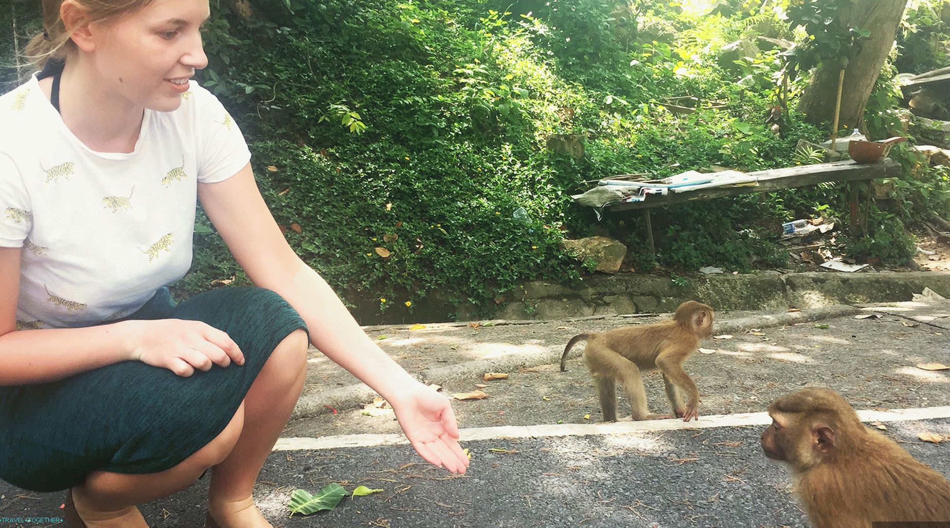 A trip to monkeys in Phuket - Monkey hill