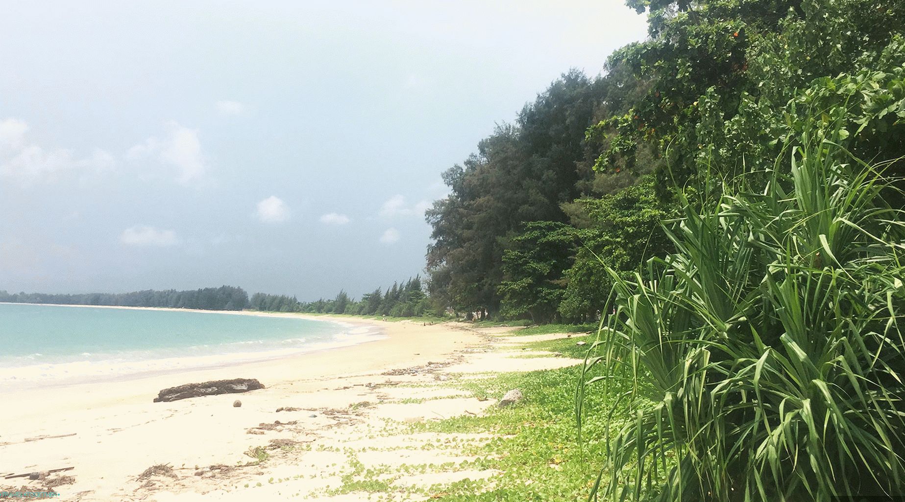 Reviews for Thailand