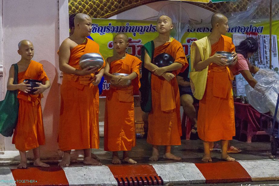 Ready to go to collect food