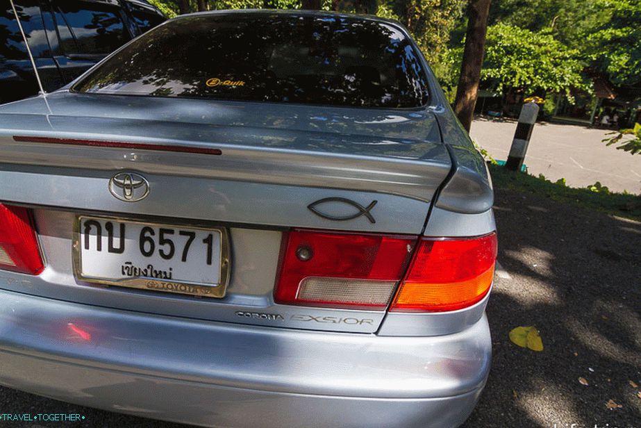 Then I learned what it means to fish on the trunk