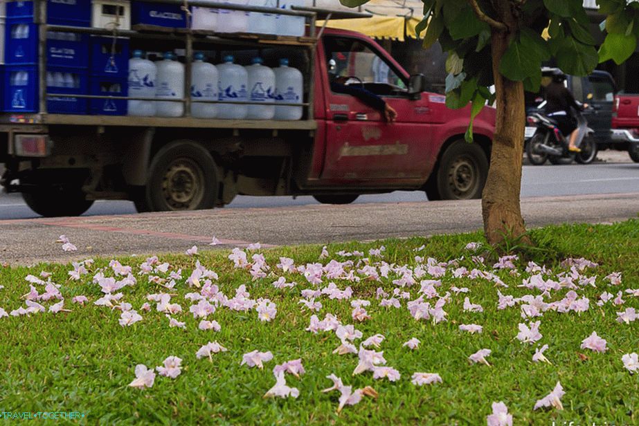 Walking around the city of Chiang Mai