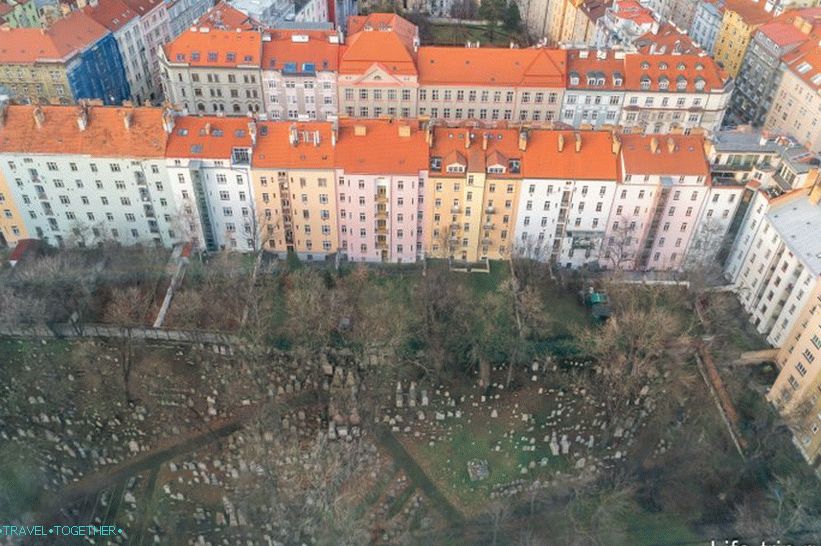 And below at the foot of the cemetery