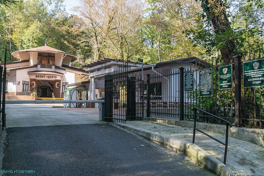 Entrance to Tiso-boxwood grove