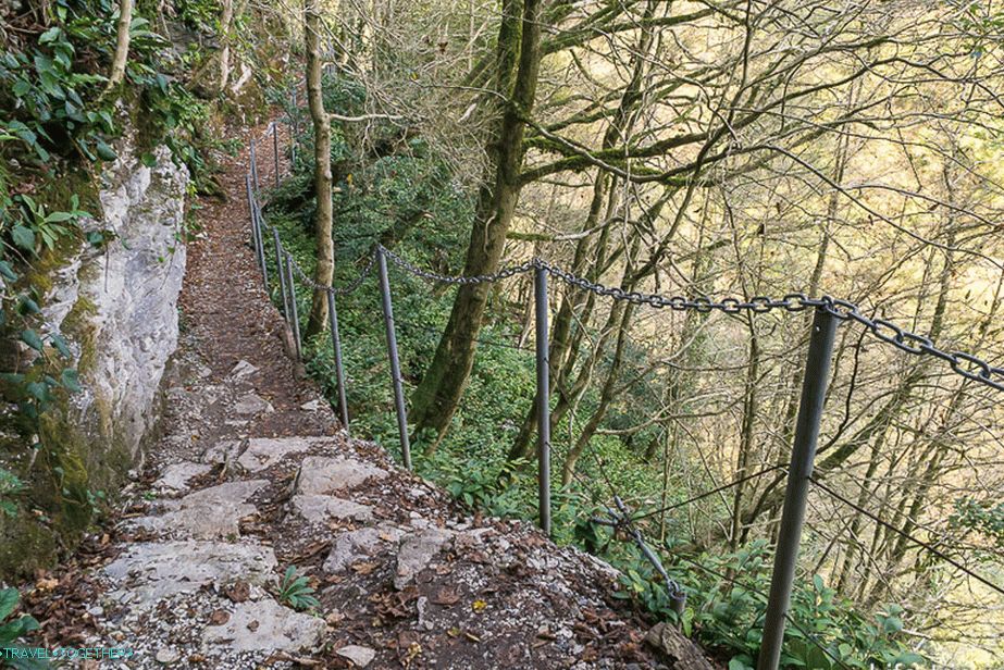 Paths are already ordinary, forest