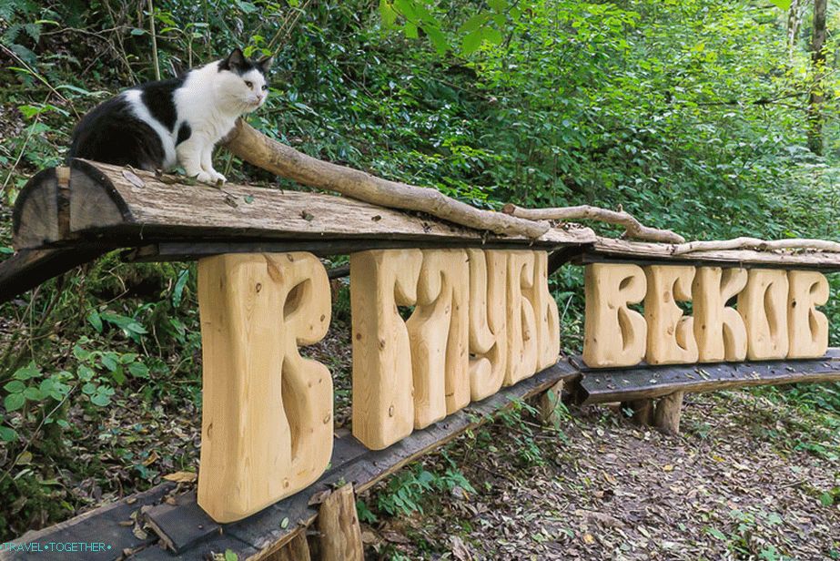 See which massive letters cut out