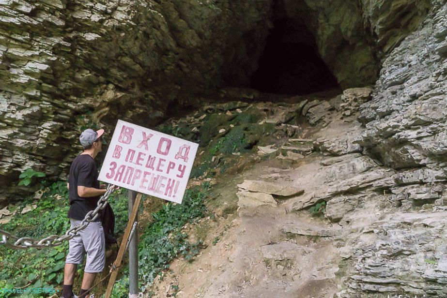 Cave in Tiso-boxwood grove
