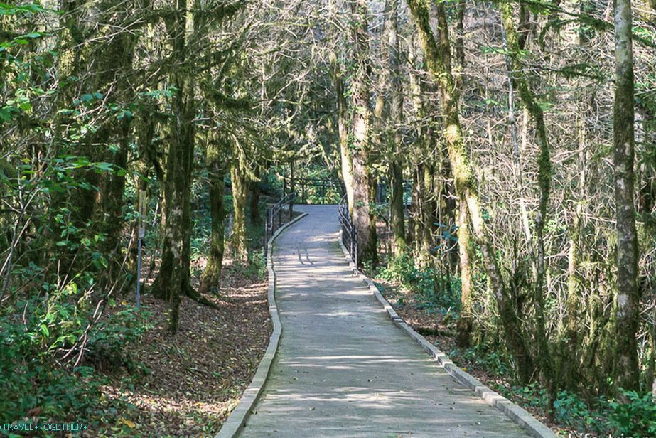 Road to the fairy tale